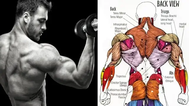 Video thumbnail for High-Volume Back & Biceps Workout for Mass
