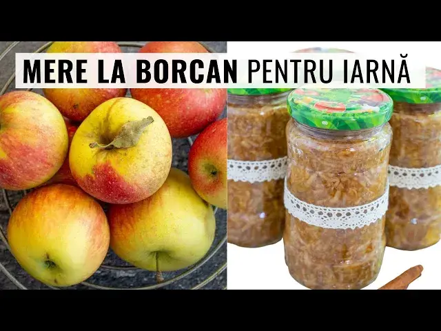 Video thumbnail for Nu arunca merele în plus! Vezi aici rețeta de mere la borcan pentru iarnă! | Bucate Aromate