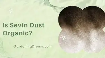 Video thumbnail for Is Sevin Dust Organic?
