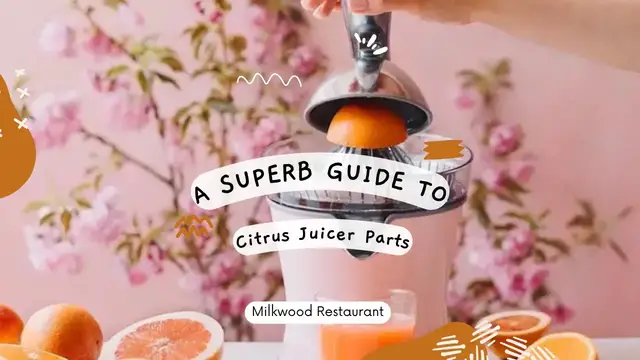 Video thumbnail for A Superb Guide to Citrus Juicer Parts