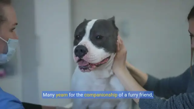 Video thumbnail for Breathe Easy: Discover Hypoallergenic Dog Breeds for Allergy Sufferers