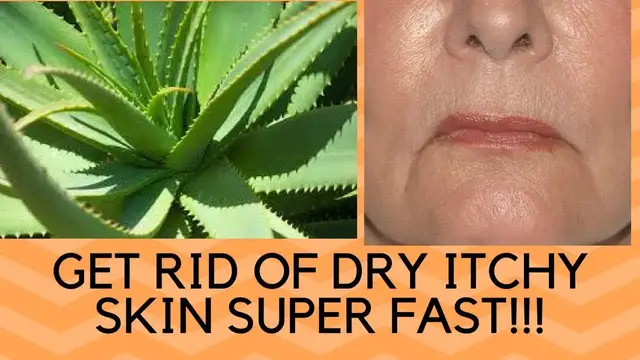 'Video thumbnail for How To Get Rid Of Dry Skin On Face , Hands And Legs Overnight - Home Remedies For Peeling Skin'