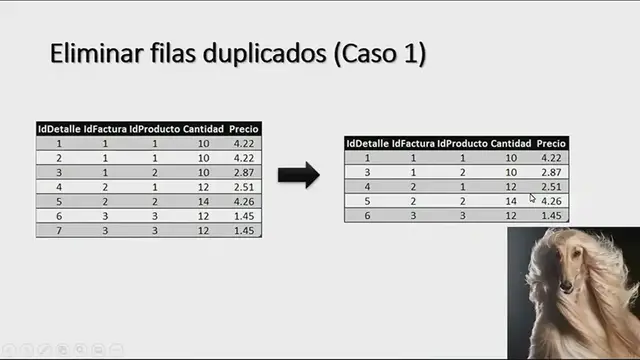 Video thumbnail for Cómo Eliminar filas duplicadas o repetidas en SQL Server PASO A PASO