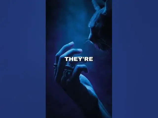 Video thumbnail for The World of Paws German Shepherds