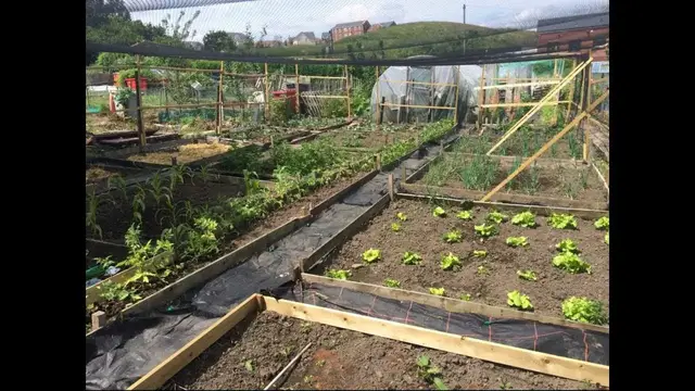 'Video thumbnail for March 30 Gardening Diary | Allotment Updates & Spring Progress 2018'