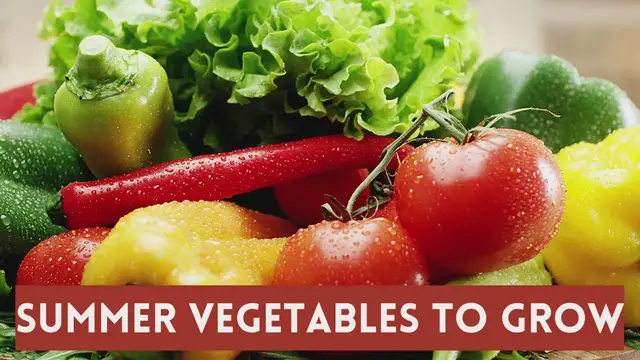 Video thumbnail for Summer Vegetables To Grow