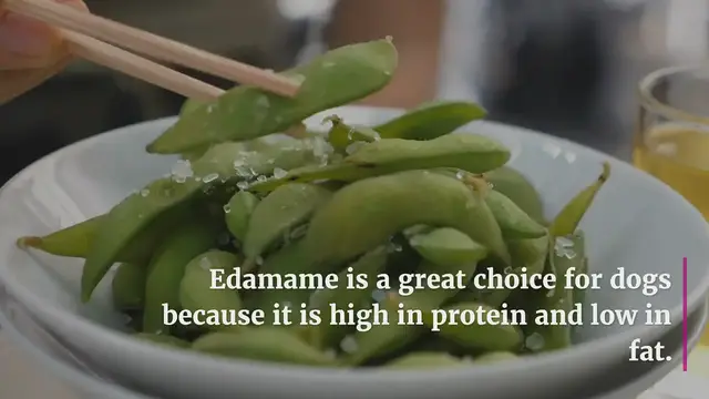'Video thumbnail for Can dogs eat edamame?'