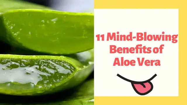 'Video thumbnail for 11 Mind-Blowing Benefits of Aloe Vera'