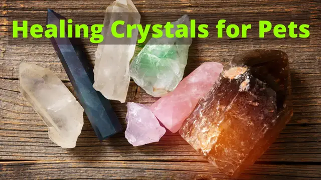 Video thumbnail for The Ultimate Guide to Healing Crystals for Pets