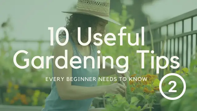Video thumbnail for 10 Useful Gardening Tips Every Beginner Needs to Know - Part 2