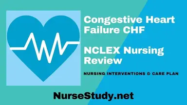 'Video thumbnail for CHF Congestive Heart Failure Nursing NCLEX Review and Nursing Care Plan'