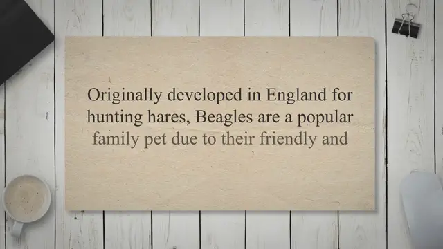 'Video thumbnail for The Beagle - Facts, Personality Traits, Health and Training'