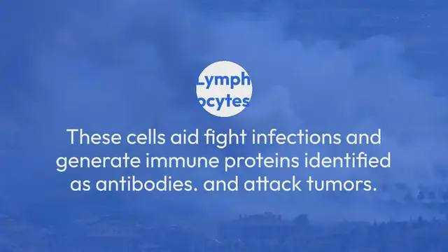 Video thumbnail for Kansas basketball Secrets