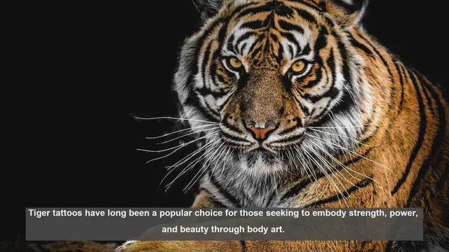 Video thumbnail for 10 Popular Tiger Tattoo Designs and Their Meanings