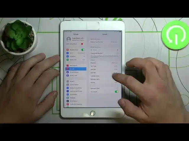 Video thumbnail for How to Change Notification Sound on IPAD MINI 4  – Adjust Sound Settings
