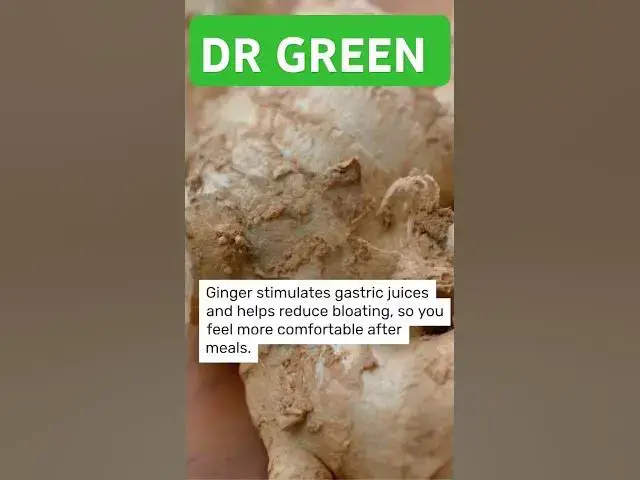 Video thumbnail for 5 Healing Foods for Your Gut .Your body was created to heal itself but it needs the right fuel. In