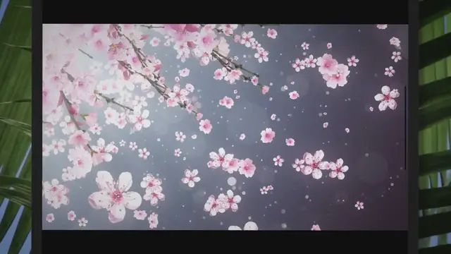 Video thumbnail for Floral Face-Off: Cherry Blossom vs. Apple Blossom – The Ultimate Showdown