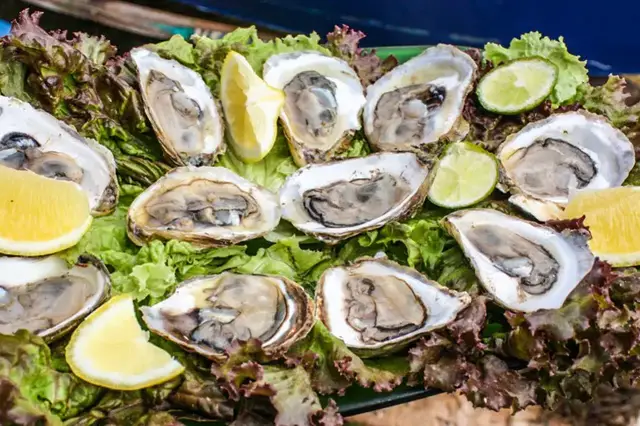 Video thumbnail for Wilde Austern sammeln im Wattenmeer vor Prince Edward Island
