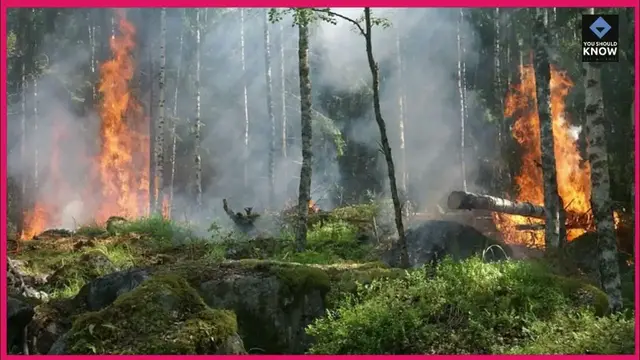 Video thumbnail for Top 10 Eco Friendly Resorts for Sustainable Travel