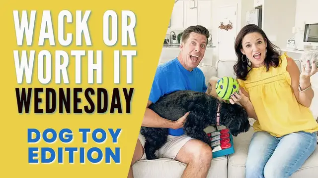 'Video thumbnail for Top 5 Amazon Dog Toys? Tested by a REAL DOG! Wack or Worth it Wednesday (WOW)'