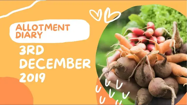 Video thumbnail for Winter Garden Tasks | Preparing Beds and Plants for Cold Weather