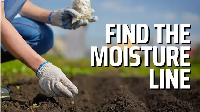 'Video thumbnail for Sowing Seeds In A Drought. How To Sow Seeds Near Soil Moisture Without Going TO DEEP!'