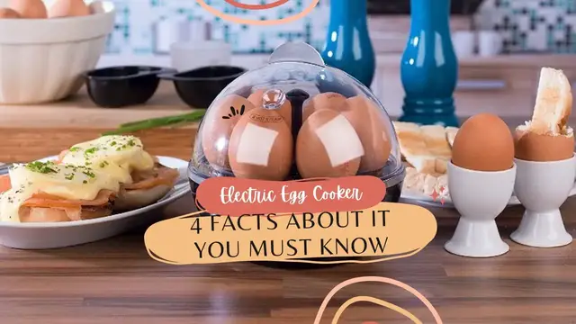 Video thumbnail for Electric Egg Cooker – 4 Amazing Facts About It You Must Know