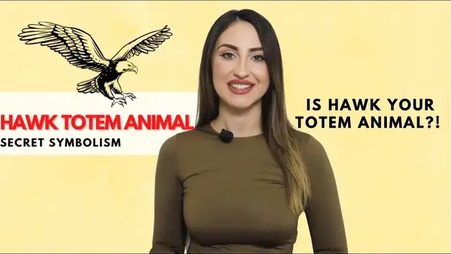 Video thumbnail for Hawk Spirit Animal & Totem - Secret Symoblism