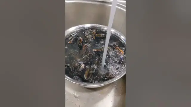 Video thumbnail for (5 minute recipe) Mussels in White Wine #shorts #easyrecipe #mussels