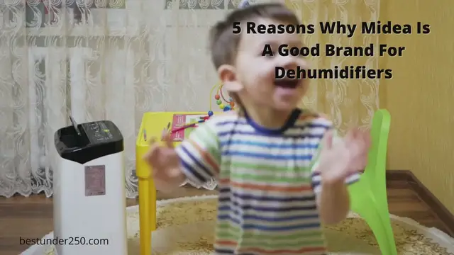 Video thumbnail for Midea Dehumidifier Reviews