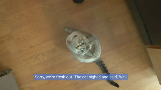 Video thumbnail for 20 Purr-fectly Hilarious Cat Jokes to Make You Meow with Laughter!