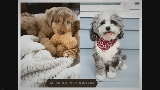 Video thumbnail for Complete Information - 2023