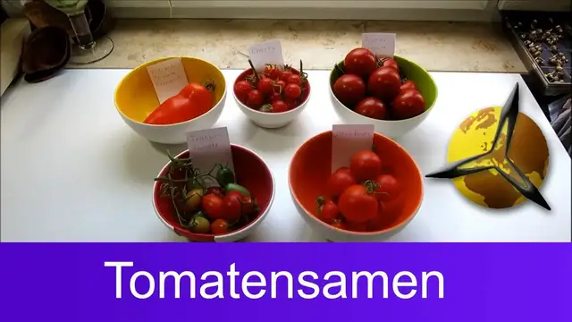 Video thumbnail for Tomatensamen selber gewinnen: Saatgut für Tomaten selber machen