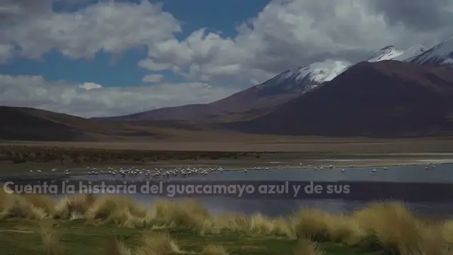 Video thumbnail for Rio 2 para colorear