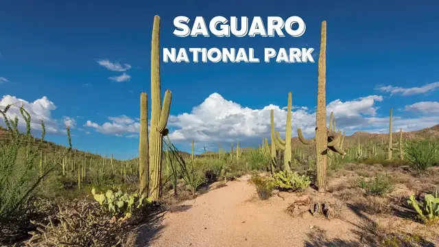 Video thumbnail for Saguaro National Park Hiking and Boondocking Tips