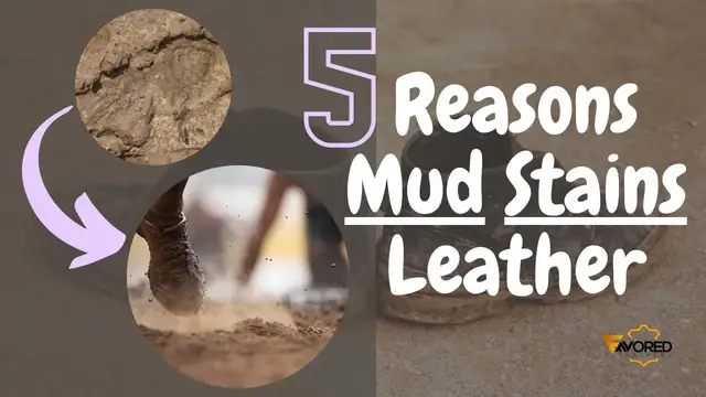 Video thumbnail for 5 Reasons Mud Stains Leather