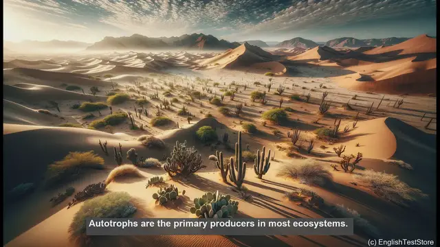 Video thumbnail for Autotrophic in biology