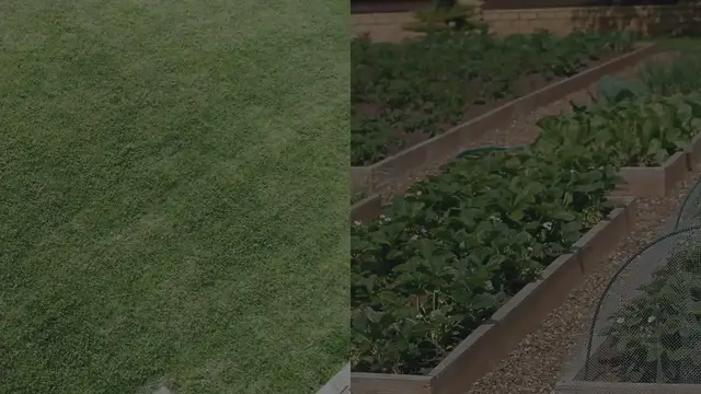 Video thumbnail for Pea Gravel Backyard and Front Yard Landscaping Ideas