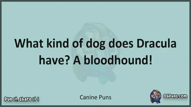 Video thumbnail for Canine - Jokes, Puns, Wordplays, and Laughter