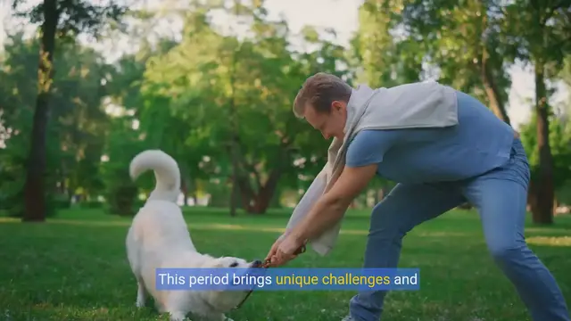 Video thumbnail for Golden Years Glow: A Complete Guide to Senior Dog Care