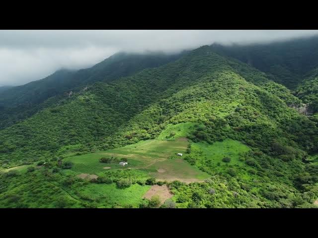 Video thumbnail for Lush Mountains view