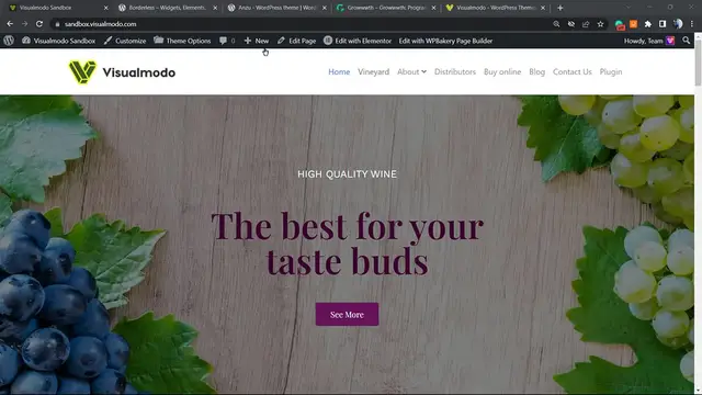 Video thumbnail for How To Remove Page Heading _ Navbar & Footer Sections In Visualmodo WordPress Themes_