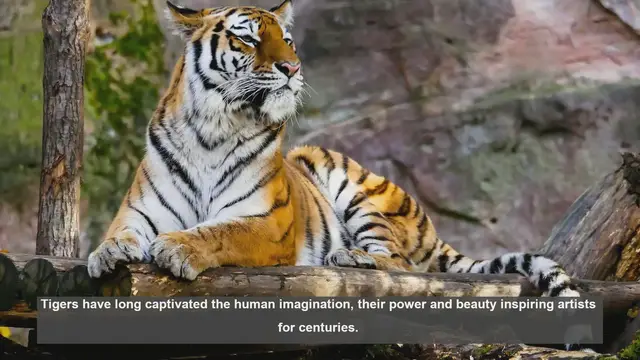 Video thumbnail for 10 Famous Tiger Paintings in Art History