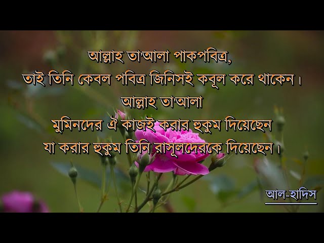 Video thumbnail for আল্লাহ্ তা'আলা পাকপবিত্র, তাই তিনি কেবল পবিত্র জিনিসই কবূল করে থাকেন। (হাদীস - ১০).#islamicvideo