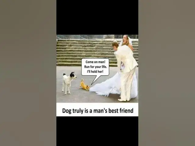'Video thumbnail for funny memes that will make you laugh #687 || legend memes || funny relatable memes 😂 #memes #shorts'