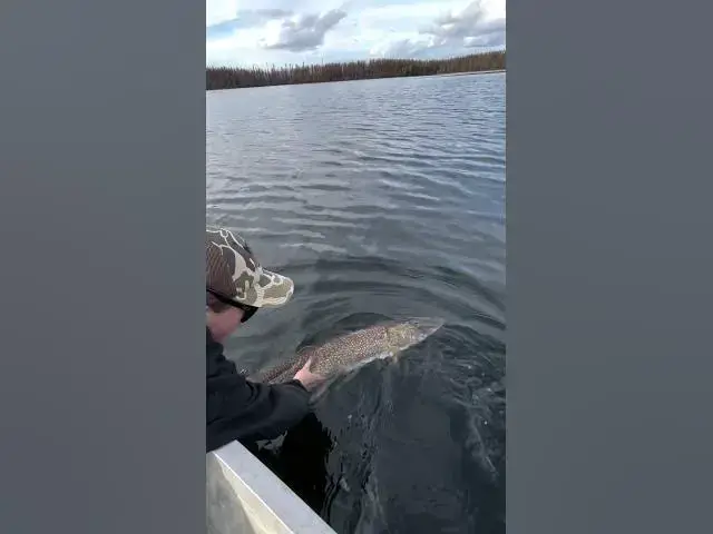 Video thumbnail for 5 Feet Tall vs. 28 POUNDS of Pike! 🤯 What's your biggest pike? 🤔