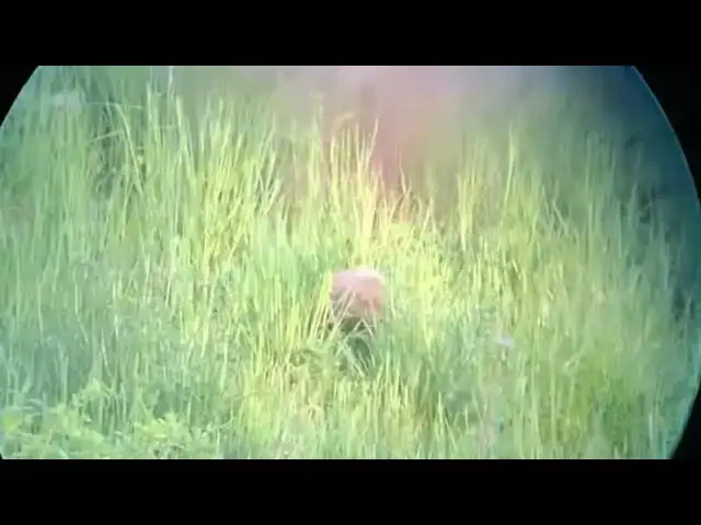 'Video thumbnail for 300 PRC spooks woodchuck'