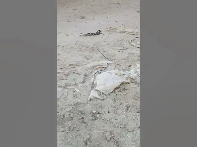 'Video thumbnail for 26 aprilie 2024'