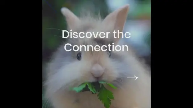 Video thumbnail for Maintaining a Healthy Lifestyle with Animal Welfare