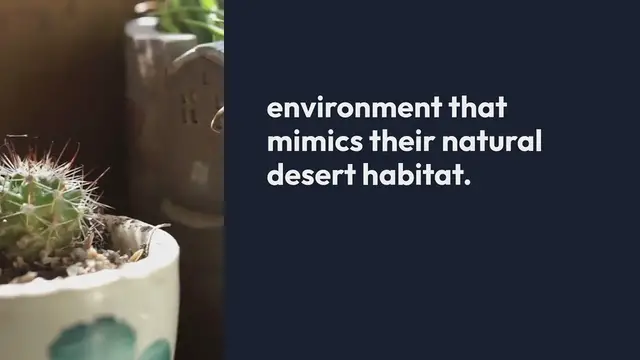 Video thumbnail for How to Grow Indoor Flowering Plants